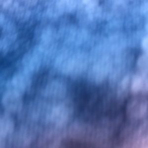 Meet your Posher, Tanner